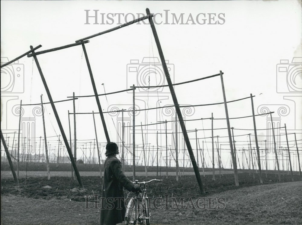 1958 Press Photo Aerials Station Inter-Planetary Radio Astronomy - KSB62541-Historic Images