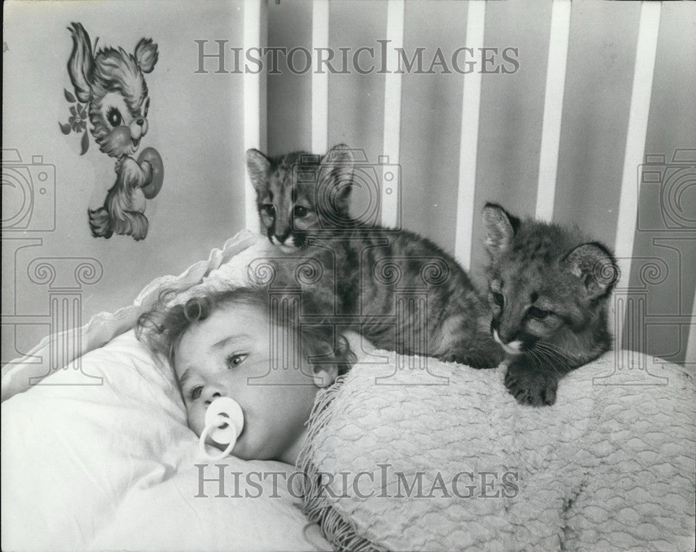 Press Photo Toddler in crib with kittens - Historic Images