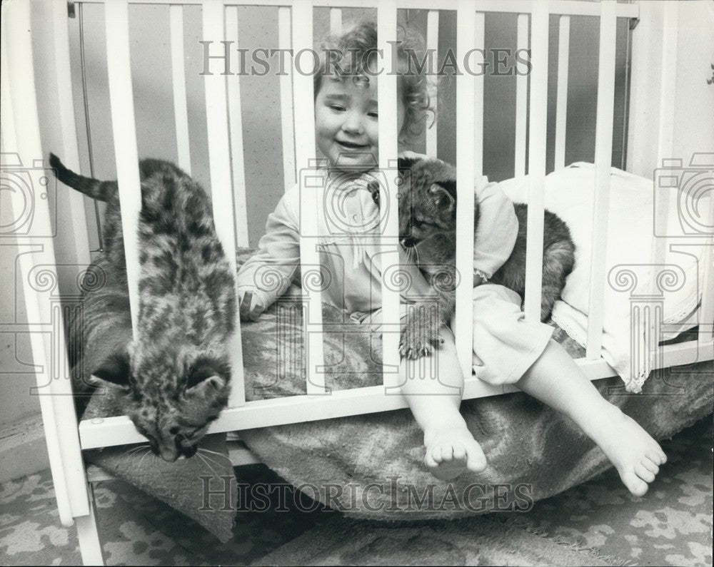 Press Photo small toddler with cubs - Historic Images