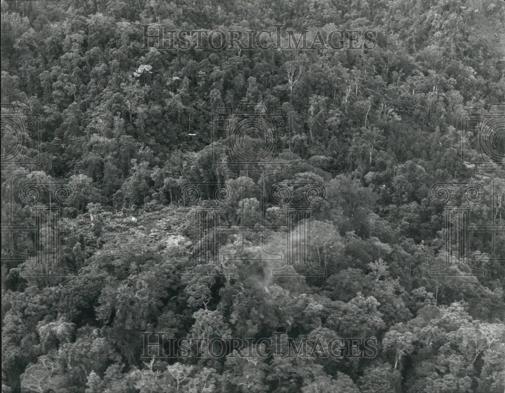 1971 Press Photo Nimdanes, Philippines jungle - KSB62991 - Historic Images