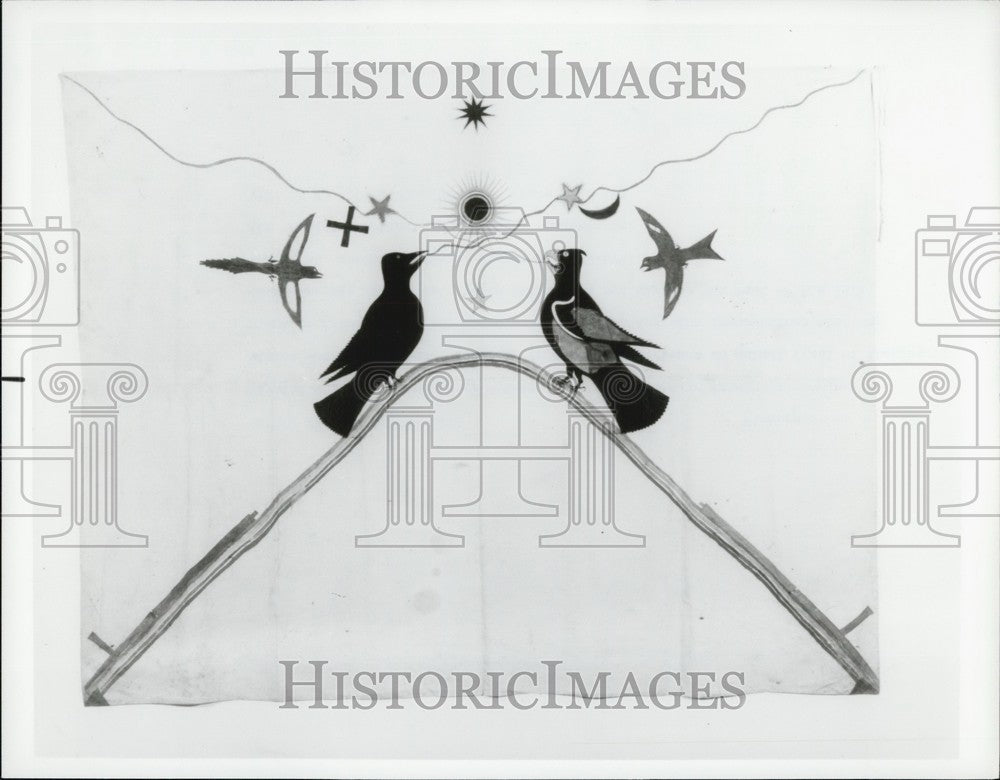 Press Photo Painted muslin banner Arapaho&#39;s complex vision - KSB63475-Historic Images