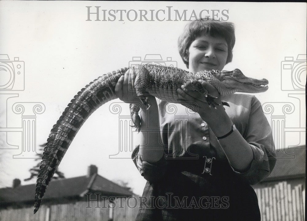 Press Photo Anne Kindler Pet Alligator Murgatroyd Tame Friendly Animal - Historic Images