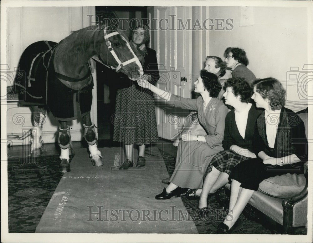 1954, &quot;Rosina Cooper&quot; a famous ex-Polo pony at Cocktail Party - Historic Images