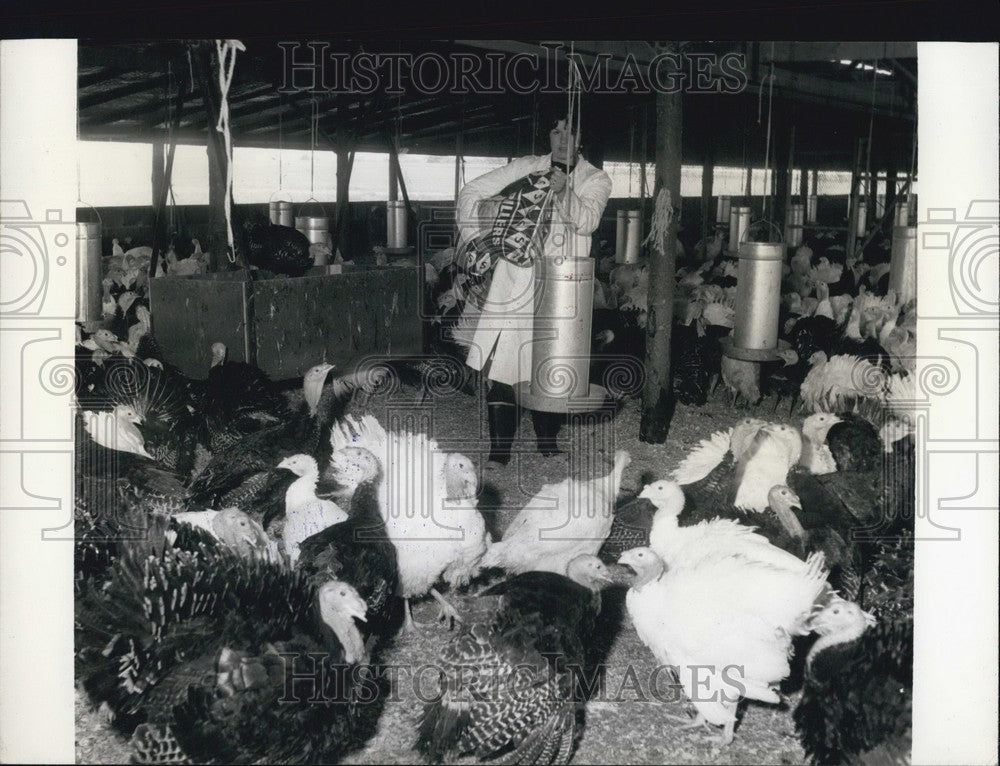 Press Photo Feeding Time - KSB64425 - Historic Images