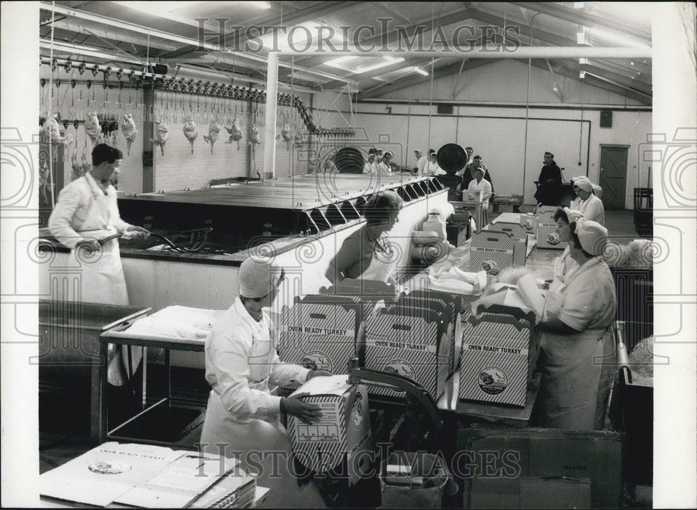 Press Photo Processing plant for turkeys - Historic Images