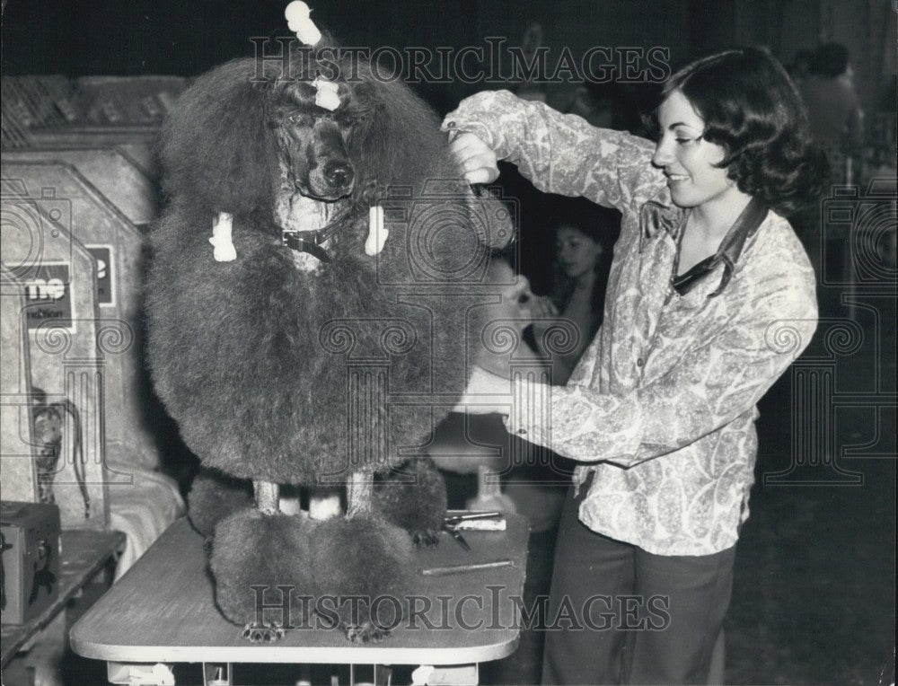 1975 Press Photo Kim Sillito standard poodle Nalnoble Kennel Championship Show - Historic Images