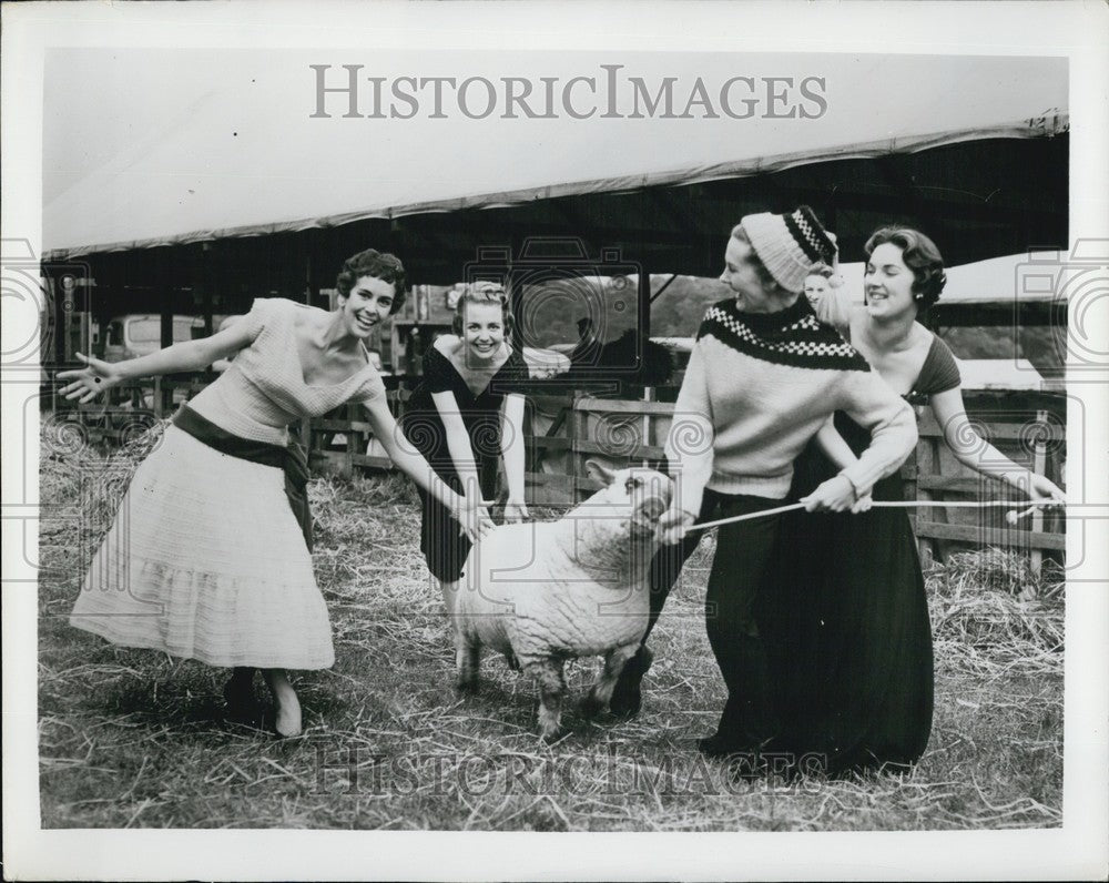 1955 Press Photo Royal Show Nottingham Dorset Down Ram Model Hilda Marks - Historic Images