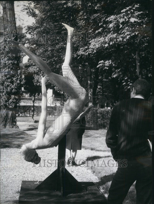 1966 Press Photo fall of Rerlier'' one of the statues on show. - KSB66005-Historic Images