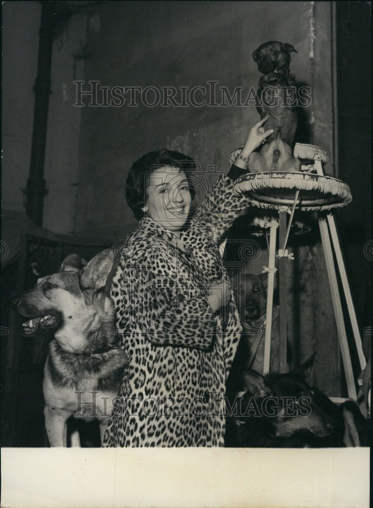 1960 Press Photo Actress Gloria Lasso & her act with trained dogs - KSB67931 - Historic Images