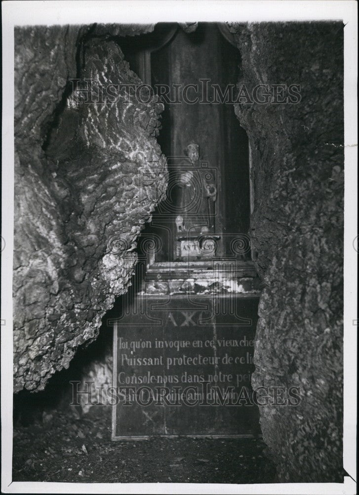 Press Photo View Largest Oak Tree Belgium Church Liernu Near Perwez - KSB68287-Historic Images