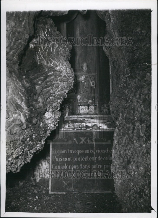 Press Photo View Largest Oak Tree Belgium Church Liernu Near Perwez - KSB68287-Historic Images
