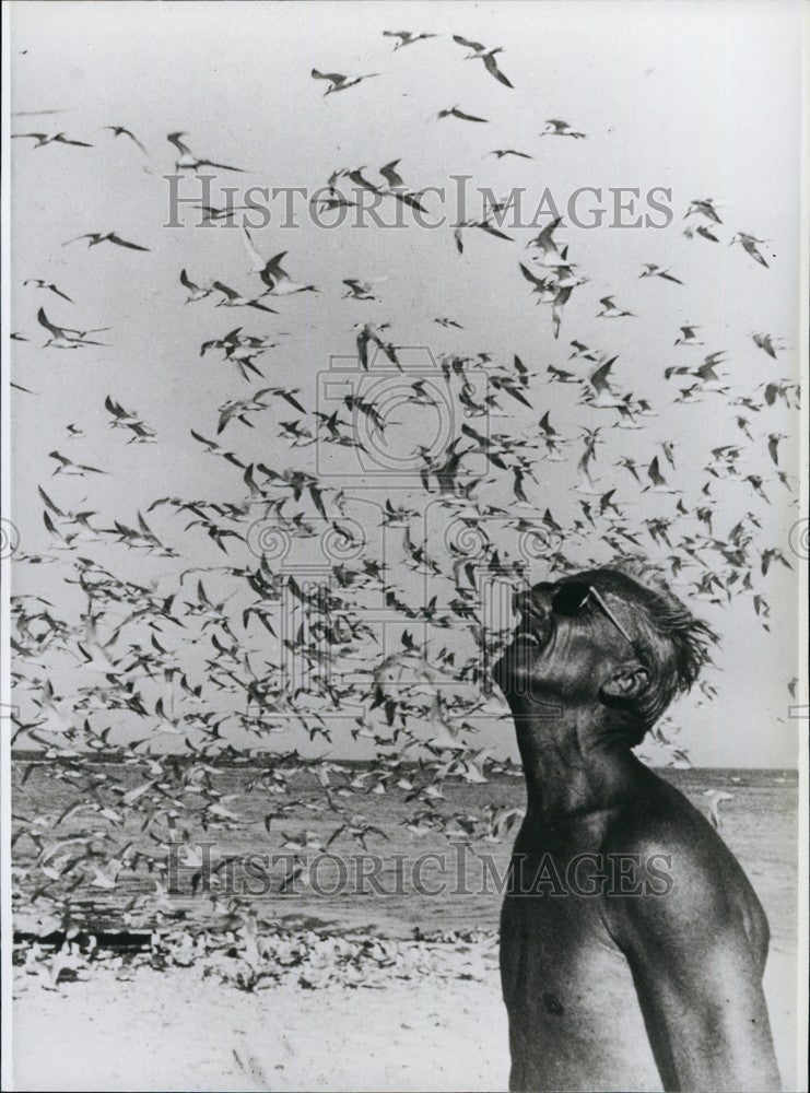 1980 Jacques Costeau looks at flock of birds - Historic Images