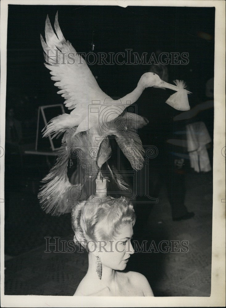 1958 Press Photo Joan Warltier Displays Birth Of Nation During Competition - Historic Images