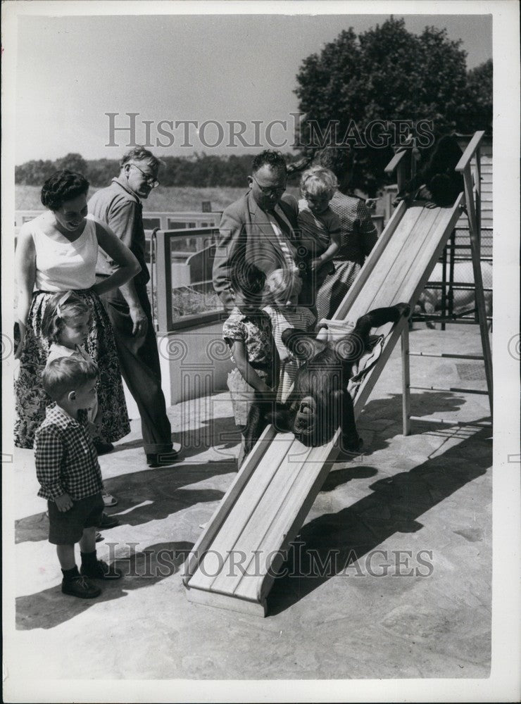 Press Photo Chimpanzee Rides Slide Children&#39;s Zoo - KSB68447-Historic Images