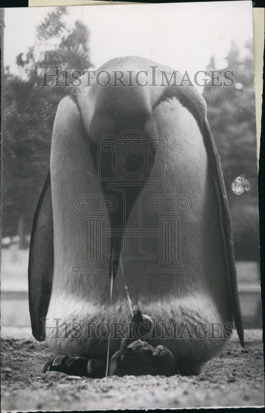 1952, 