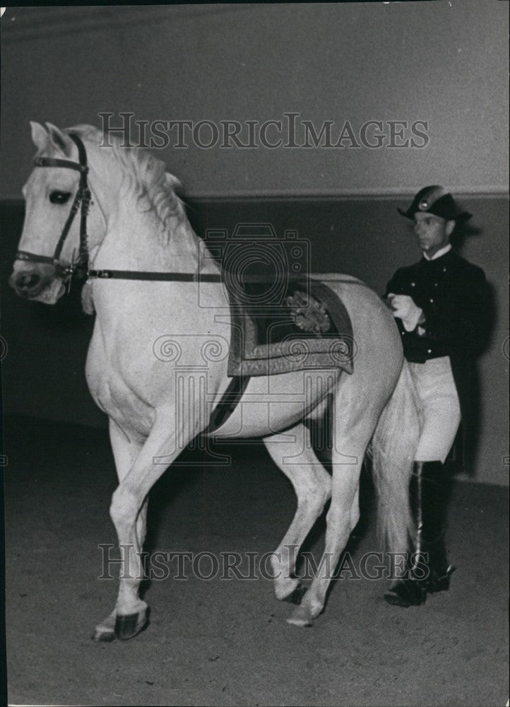  Spanish Riding School Vienna/Horse - Historic Images