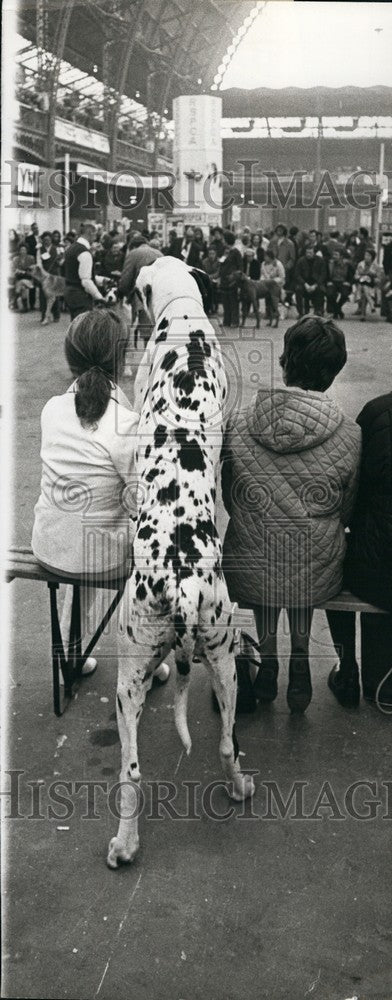 1972 Press Photo Ark Angelus" - KSB69643-Historic Images