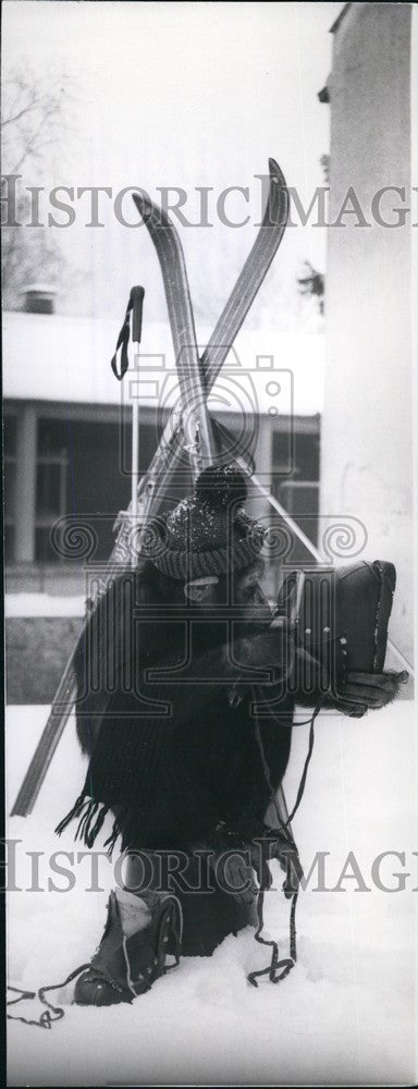 1973 Money and skis in Munich zoo Hellabrunn  - Historic Images