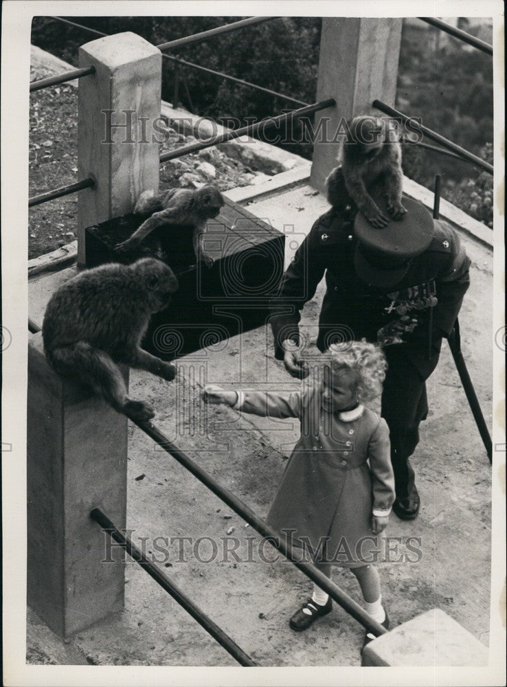 1954, Princess Anne visits Barbary Apes - KSB71131 - Historic Images