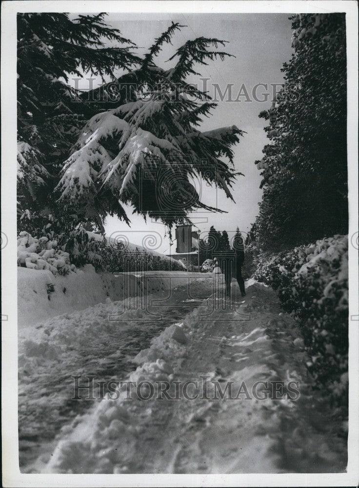 1954 Today's Cold Weather scenes - Historic Images