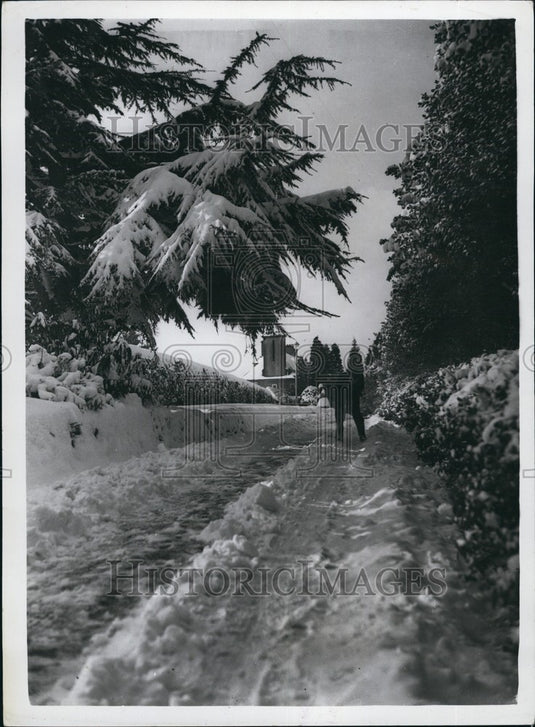 1954 Today's Cold Weather scenes - Historic Images