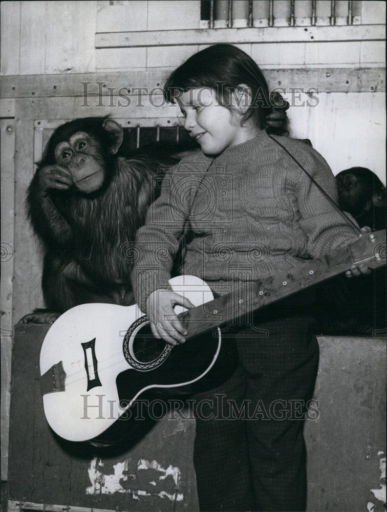  Chimpanzee Bibo Listens To Girl Playing Guitar - Historic Images