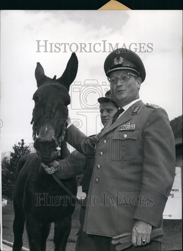 1958 Press Photo Gen. Speidel with 1 of 22 hinnies from Sicily in NATO service-Historic Images