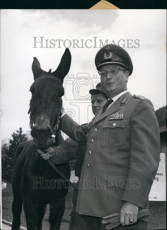 1958 Press Photo Gen. Speidel with 1 of 22 hinnies from Sicily in NATO service-Historic Images