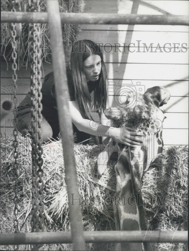 1977 Press Photo Victor the flirting Giraffe dies at the Hartwell Zoological Par-Historic Images