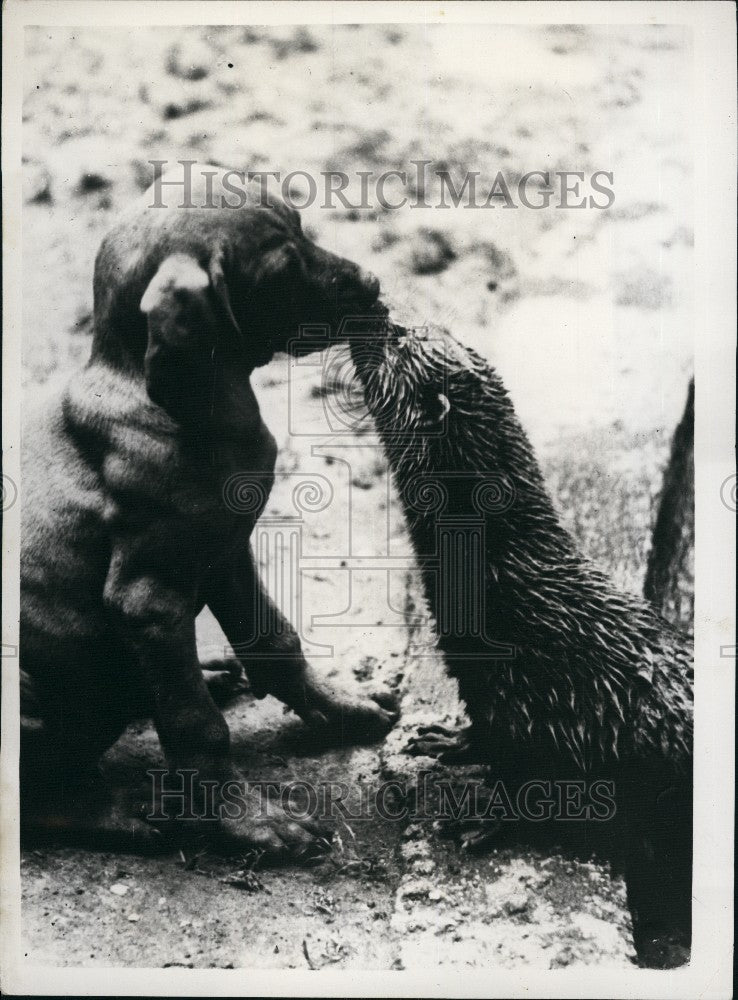 Press Photo Training Future Circus Stars - in Budapest - Historic Images