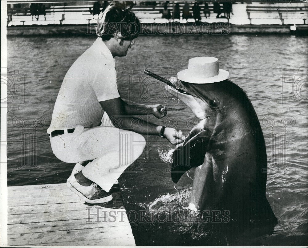 Press Photo Dolphin Tricks - KSG04009 - Historic Images