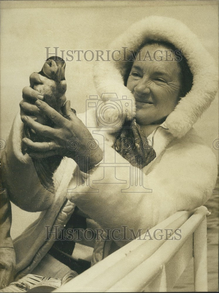 1973, Mrs. Messmer Sets Rouzic Island Penguins Free - KSK01499 - Historic Images