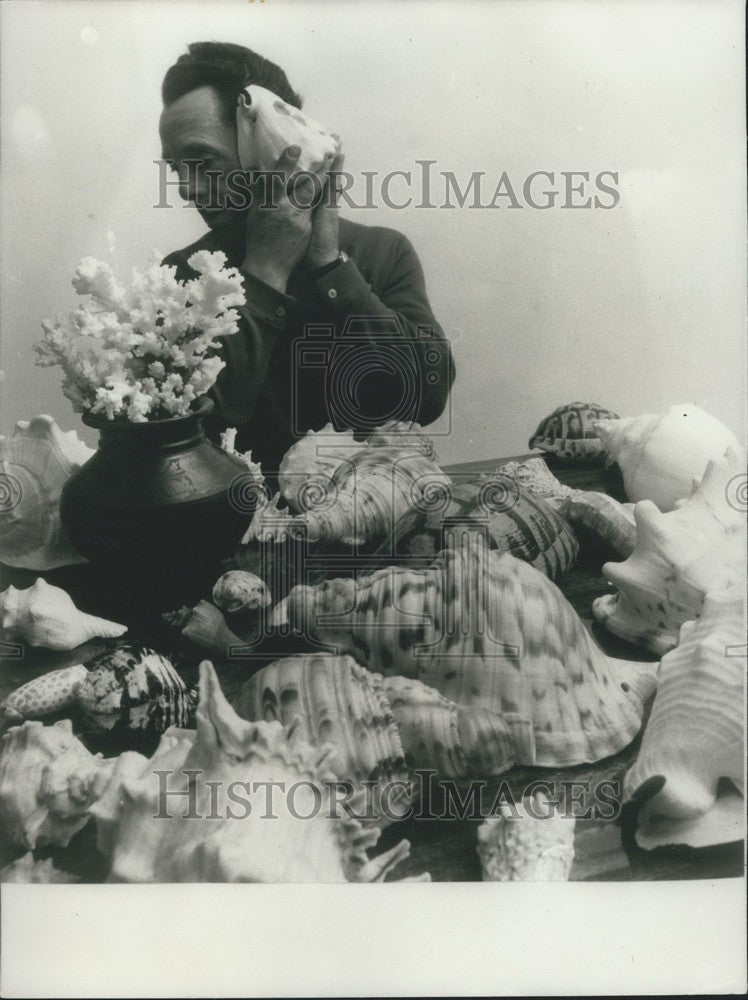 1976, Robert Gabai Presents Shell Collection - KSK02941 - Historic Images