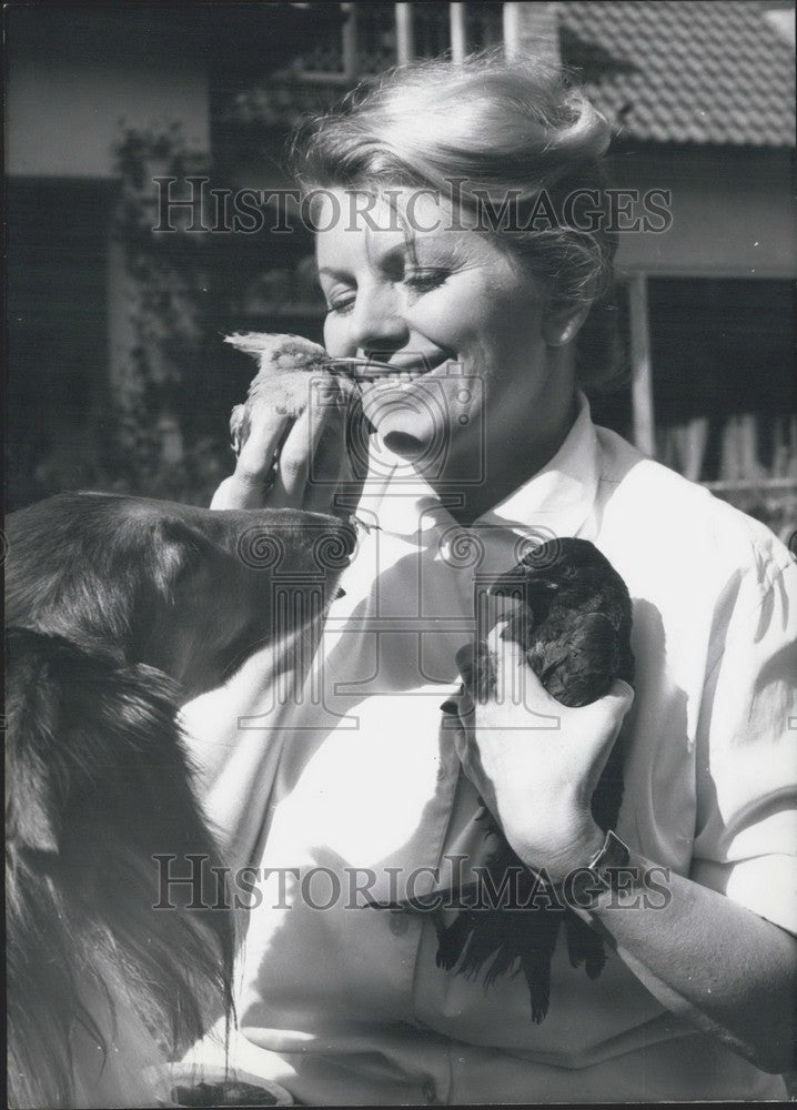 1966 Erica Beer with foster animals.  - Historic Images