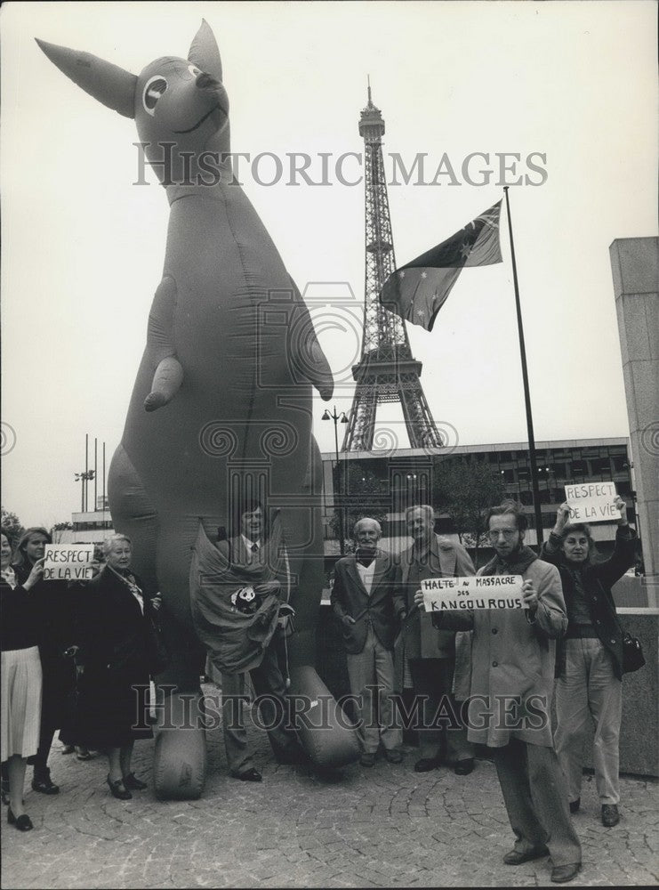 1984 Greenpeace Europe Militants Hold Kangaroo Demonstration - Historic Images