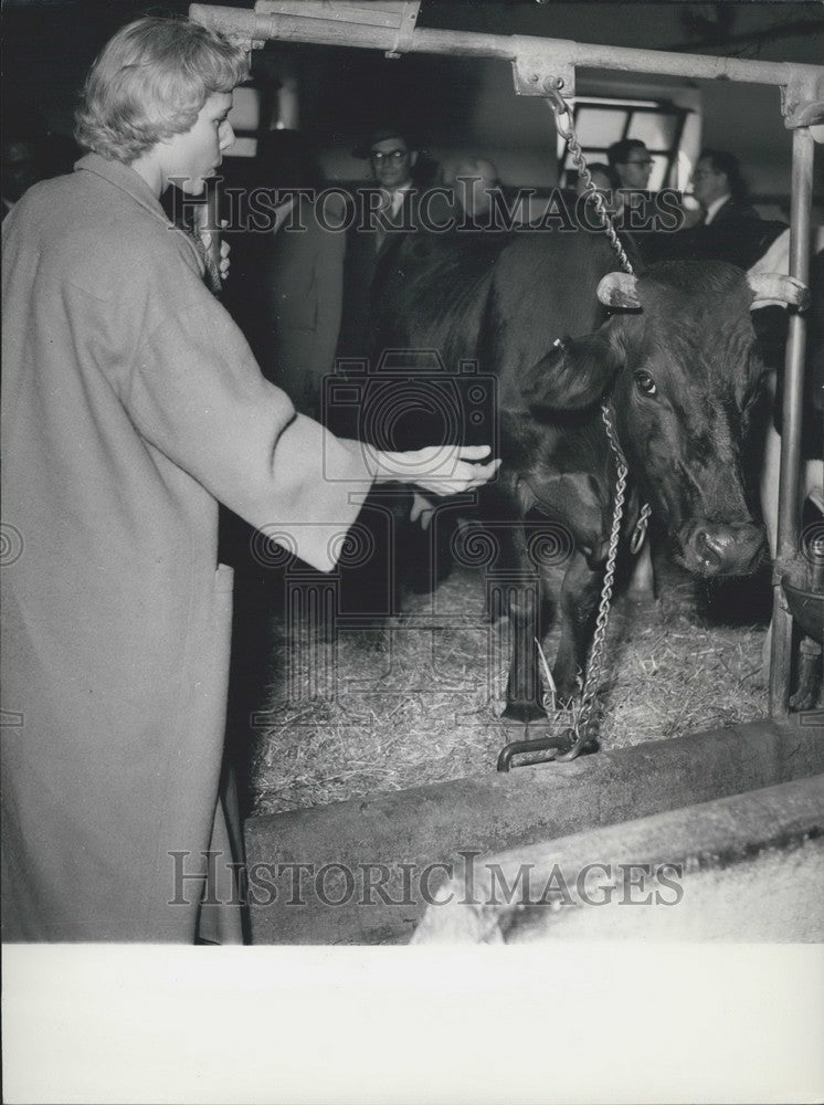 Press Photo Clare Booth: Agricultural development project near Potenza-Historic Images