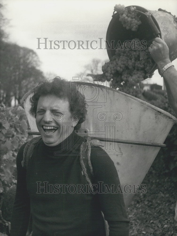 1973, Jacques Martin in the Cognac Vineyards to Pick Grapes - Historic Images