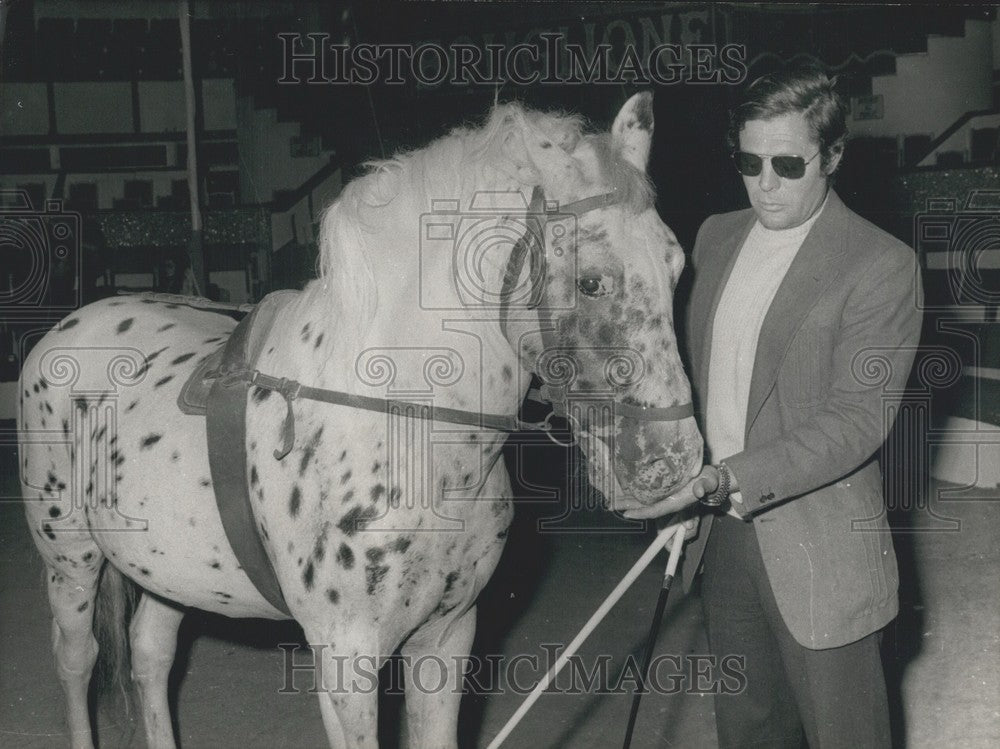 1972 Marcello Mastroianni Giving Sugar to a Dressage Horse - Historic Images