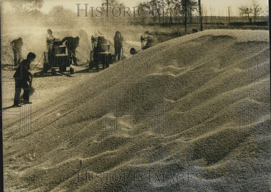 1978 Schmitt's Children Working - Historic Images