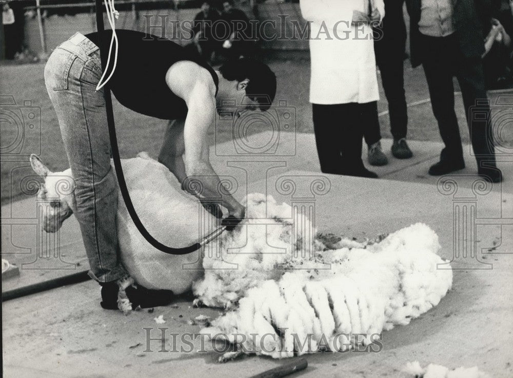 1985 Woman Participates Sheep Shearing Competition Paris - Historic Images