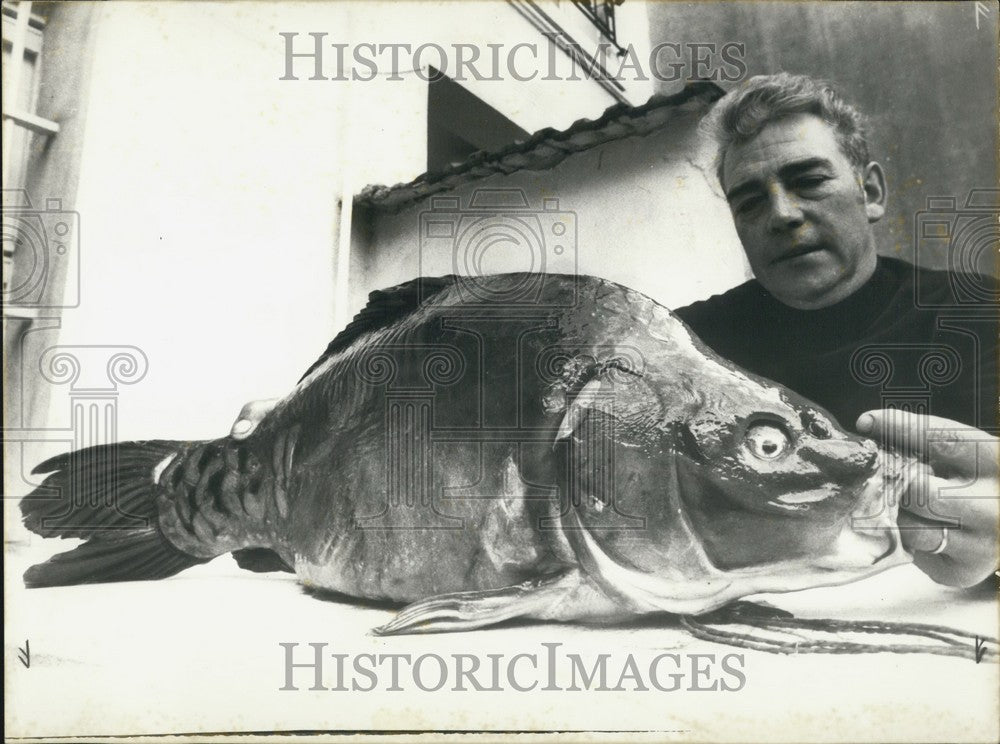 1974, Mr. Lamare Caught 22 Pound Carp Senecourt Pond, Creil - Historic  Images