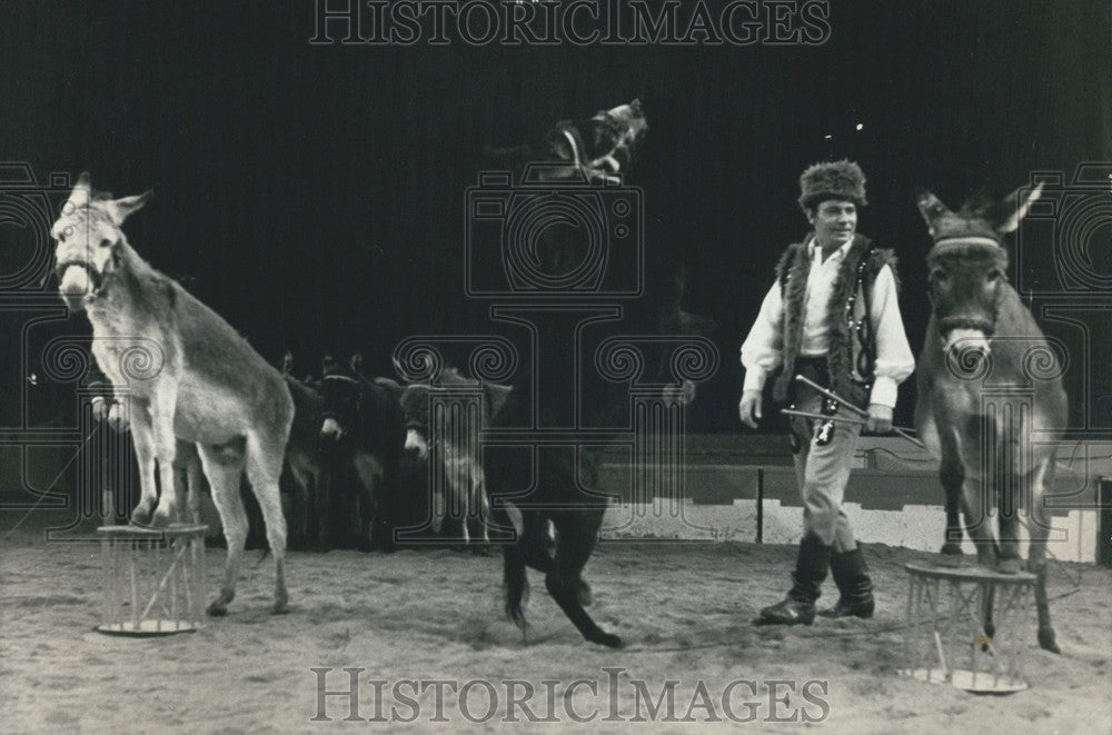 1977 Uwe Schwichtenberg with his Performing Donkeys in Paris - Historic Images