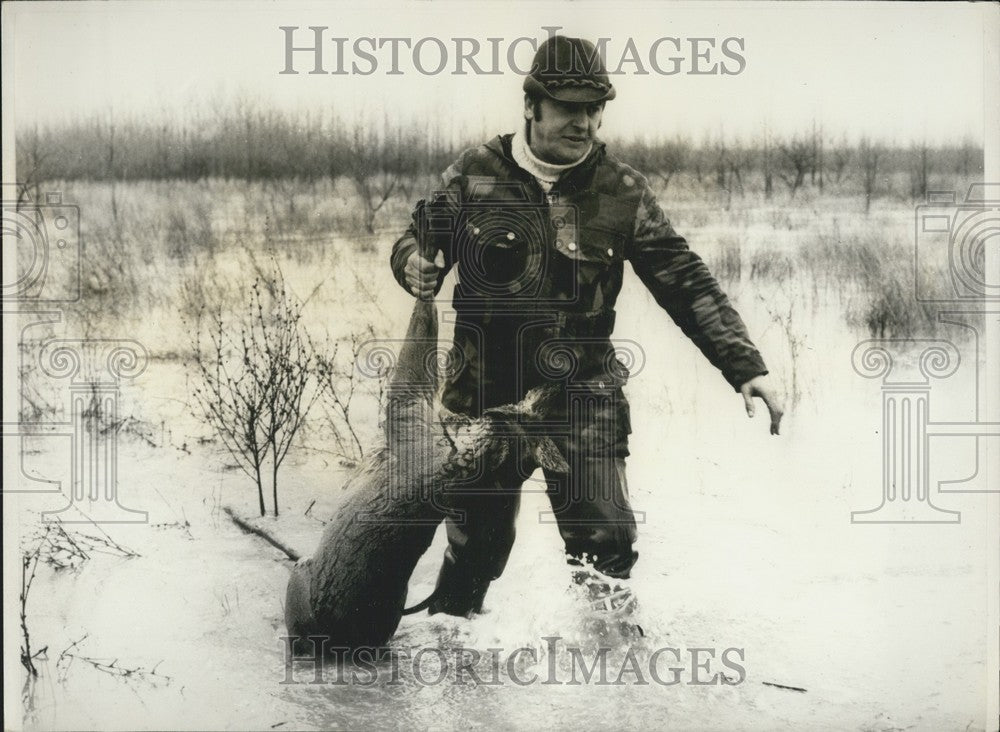 1979 Press Photo Man Saves Deer Icy Flood Water, Hungary-Historic Images