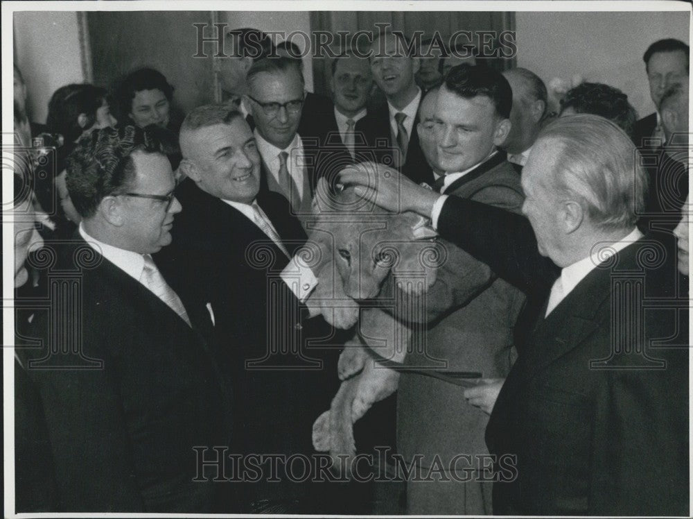 1955, Chancellor Adenauer pets lion. - Historic Images