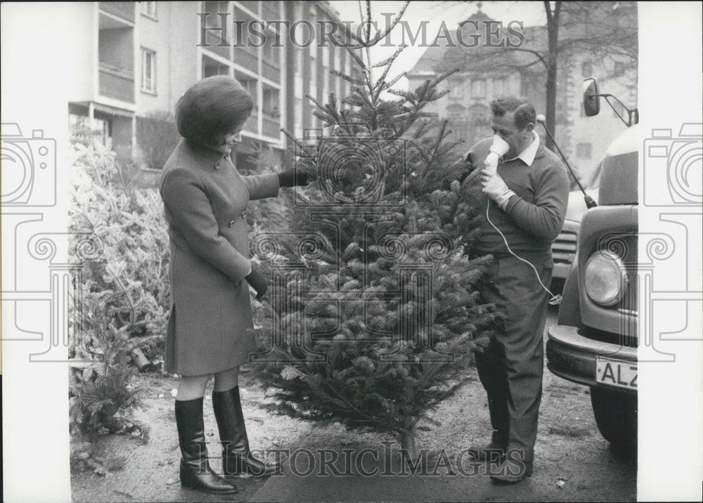 1969 Christmas Trees in Germany. - Historic Images