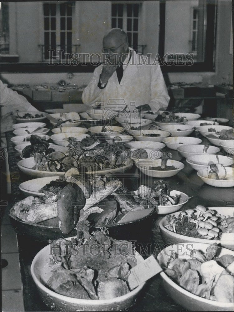 1970 Press Photo Man Sampling Dishes Full of Mushrooms Paris Botanical Garden - Historic Images