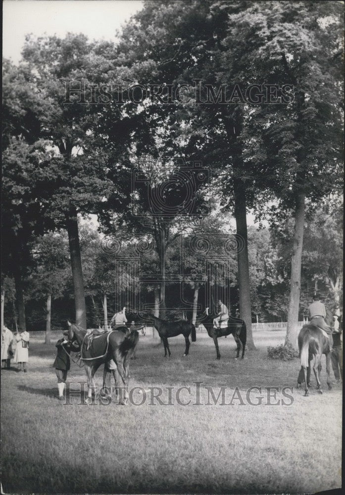 1953, Aga Khan&#39;s Chantilly Stables - Historic Images