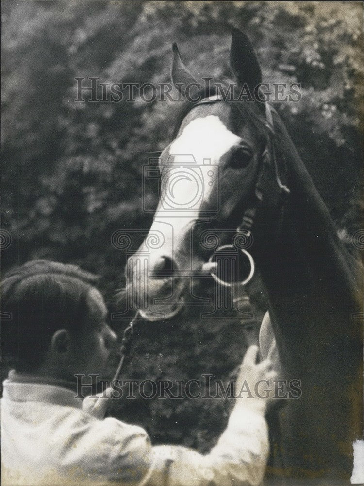 1968 Press Photo Royal Oak Winner "Lagoon" Expected to Win Chantilly Diana Prix-Historic Images