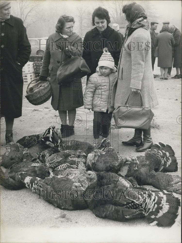 1971, Market Selling Holiday Turkeys in La Sarthe - Historic Images