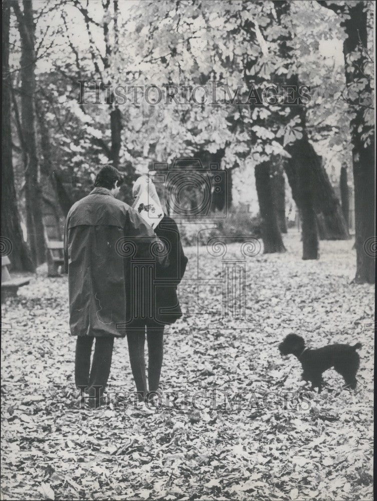 1968 Young Couple Taking a Walk in the Forest with their Dog - Historic Images